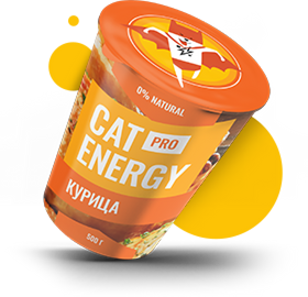 Упаковка фирменного корма Cat Energy